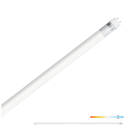 LED-Leuchtstoffröhre T8 G13 18W 1800lm 6500K Kalt 120cm LED2B Kobi