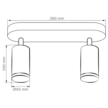 Wand- und Deckenstrahler 2x GU10 Schwarz IP44 TURYN Sanico Goldlux
