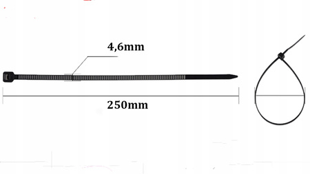 Starker Kabelbinder 4,6x250mm schwarz 100 Stück ECOLIGHT