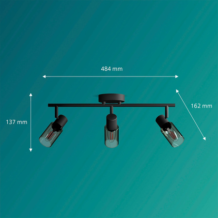 Reflektor-Deckenleuchte 3x E14 Schwarz Palmen Philips