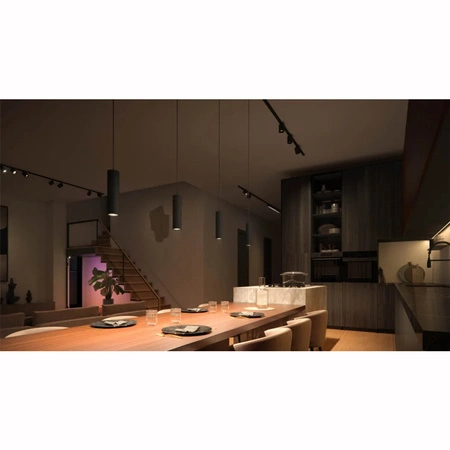 LED Perifo Schwarz 5.2W CCT RGB Philips HUE Bluetooth Deckenhängeleuchte