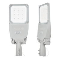 LED Industriestraßenlampe 120W 20400lm 4000K Neutral IP66 IK09 Grau Master Street Kobi