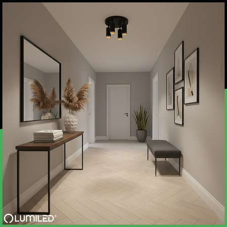 Reflektor Deckenleuchte 4x GU10 Plafond ELIGIS Schwarz LUMILED