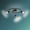 Deckenleuchte LIMBALI 3x GU10 Wandleuchte Reflektor beweglich Schwarz PHILIPS