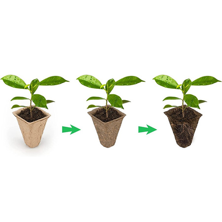 Set von 72x Torf Töpfe 5x5 cm für Sämlinge Aussaat Quilting Biologisch abbaubar Quadratisch