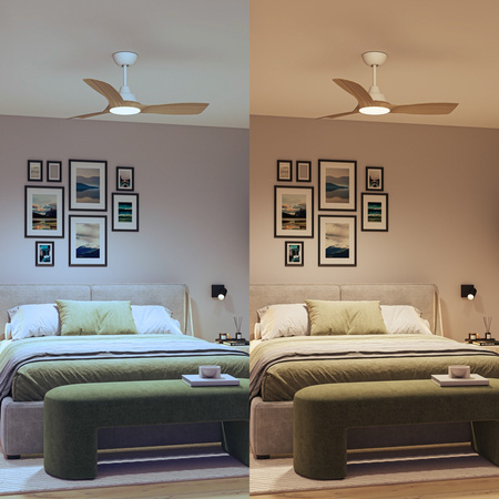 Deckenventilator 28W LED-Deckenleuchte 24W 2650lm 3000/4300/6500K CCT Braun Weiß + Pilot Olas Philips