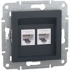 Doppelte Computersteckdose 2x RJ45 Cat. 6 UTP ohne Rahmen Asfora IP20 Anthrazit