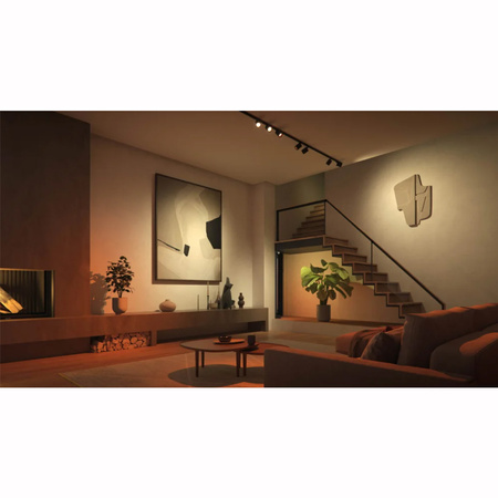 LED Perifo Stromschienenstrahler Schwarz 5.3W CCT RGB Philips HUE Bluetooth