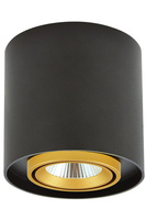 Aufbau-LED-Rundleuchte XENO 15W 3000K DOWNLIGHT Schwarz - Gold