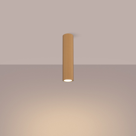 Tuba Spot GU10 Gold Carbon Deep Space SL-Deckenleuchte.1551 Sollux