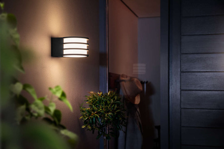 Philips HUE LUCCA Außenwandleuchte E27 9,5W 17401/93/P0