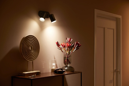 Philips HUE Weiß und Farbe Ambiance Fugato Lampe 2x4.2W Bluetooth Zigbee