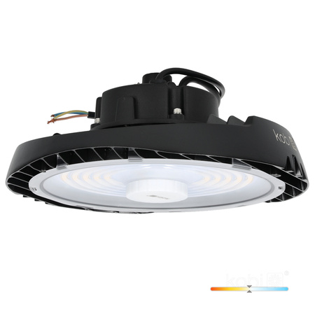 Industrieleuchte LED High Bay 150W 24000lm 4000K Neutral Schwarz IP65 IK07 Nina Pro Kobi