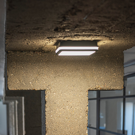 Plafond LED-Deckenleuchte mit Bewegungssensor 18W 1770lm CCT IP65 Graphit BENO KANLUX