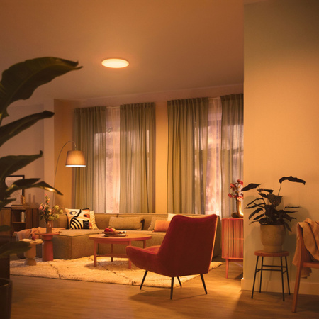 LED Plafond Deckenleuchte 24W 2700-6500K dimmbar CCT 38cm IZSO + PHILIPS PILOT