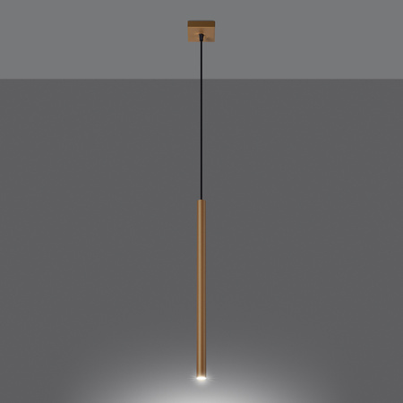 PASTELO 1 G9 Gold Modern SOLLUX Pendelleuchte für die Decke