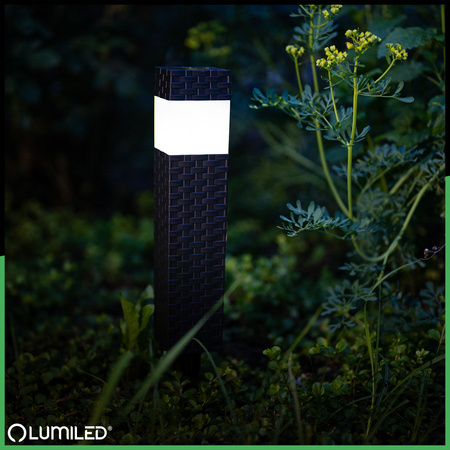 Solar-LED-Lampe, Solar Gartenleuchten mit Dämmerungssensor IP44 4000K PASCAL LUMILED