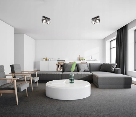 Deckenleuchte Wandleuchte LEON 2xES111 Beweglich schwarz