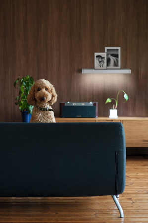 LED Wandlampe Beleuchtetes Regal 6.5W 550lm IP44 3000K Warm Linear Ledvance