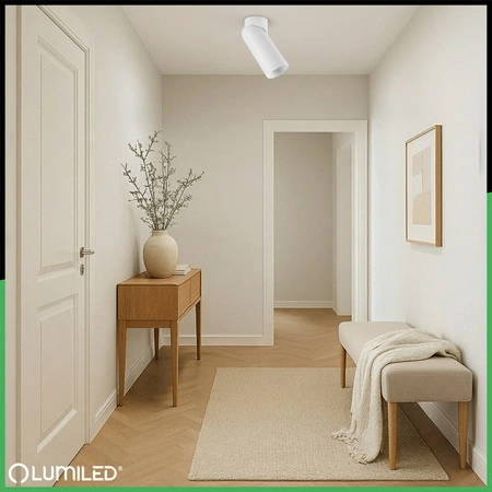 Deckenleuchte mit 1x GU10-Sockeln, Einbaustrahler HALOGEN schräg TABULA SPOT TUBA LUMILED