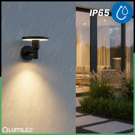 Gartenleuchte CCT LED-Wandleuchte 12W 3000-6500K IP65 CORTUS LUMILED