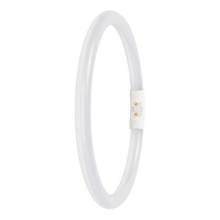 Kreisförmige LED-Leuchtstofflampe 2GX13 T5 11.6W 1550lm 3000K Warm 120° Ledvance