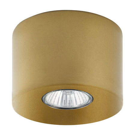 ORION GOLD Spot Halogen Gold Rund GU10 3199 TK Lighting Deckenleuchte