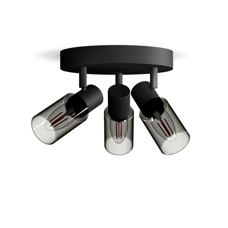 Reflektor-Deckenleuchte 3x E14 Schwarz Palmen Philips