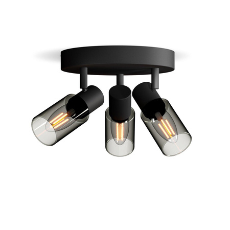 Reflektor-Deckenleuchte 3x E14 Schwarz Palmen Philips