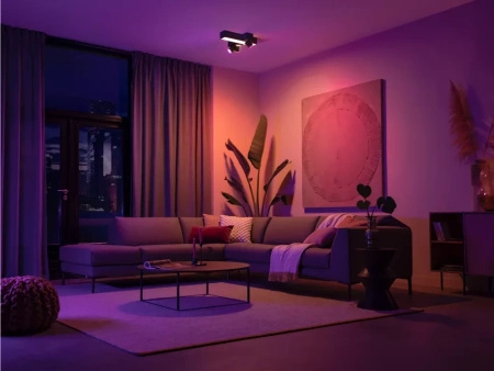 LED-Reflektor-Deckenleuchte 37.6W 2960lm IP20 Weiß und Farbe Ambiance RGB + TW Schwarz Smart SMART Zigbee Bluetooth Centris Philips HUE