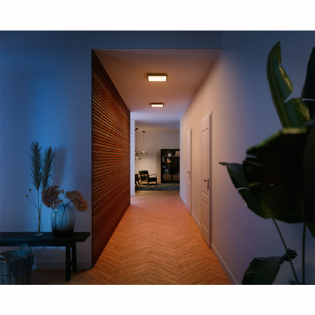 LED-Anbaupanel Aurelle Schwarz 19W CCT 30cm PHILIPS HUE Bluetooth + Dimmschalter