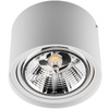 Aufputz HALOGEN SPOT TUBA Beweglich GU10 AR111 Rund Weiß 100mm TELES LUMILED