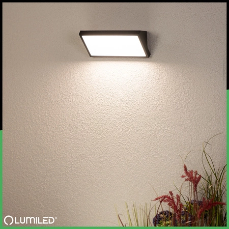 Außengartenleuchte CCT 12W LED IP44 Elevation Wandleuchte MAVIS LUMILED