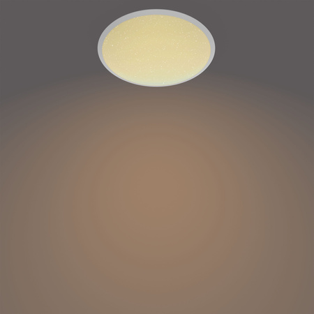 Plafond LED-Deckenleuchte CAVANAL 12W 2700K 25cm Dimmbar PHILIPS