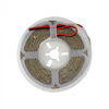 LED-Streifen SMD 2835 10.8W/m 500lm/m 60LED/m 24V 4000K Neutral IP20 Rolle 5m Ecolight