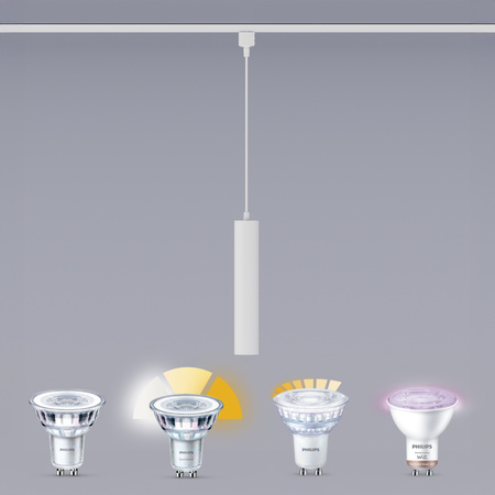 LED GU10 Einphasig Weiß EasyLink Paxie Philips Pendelschienenleuchte
