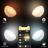Philips HUE White and Color Ambiance GO Bluetooth Zigbee Schreibtischlampe 8718696173992