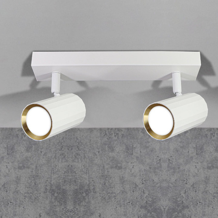 Wand- und Deckenstrahler 2x GU10 Weißgold NICEA Sanico Goldlux