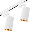1m Stromschiene + 2x Schienenstrahler GU10 Weiß-Gold SAGI LUMILED