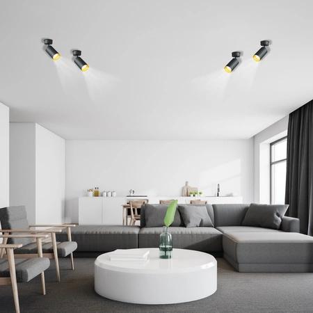 ERIS SPOT Deckenleuchte Reflektor GU10-Halogenlampe Schwarz und Gold