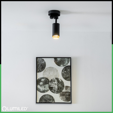 GU10 Sammelschienen-Reflektor Schwarz ELIGIS Einphasen-Sammelschienenleuchte LUMILED