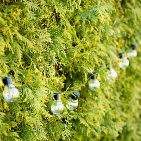 Solar Garland Garden DEKORATIVE Lichterkette 3,35m 10xLED TRANSPARENTE Kugeln 3000K