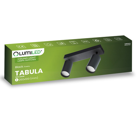 Deckenleuchte mit 2x GU10-Sockeln, Einbaustrahler HALOGEN schräg TABULA SPOT LUMILED