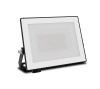 LED-Flutlicht Reflektor 20W 2050lm 5000K IP65 Schwarz Lois Philips