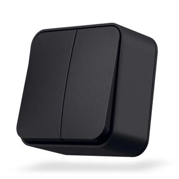 Lichtschalter 2-Tasten 10A Aufputz Schwarz BINERA VIDEX