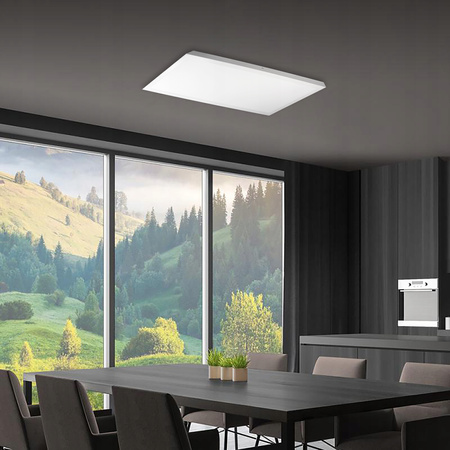 Aufbau-LED-Panel Kassette 60x30cm 30W 2400lm 4500K 120°