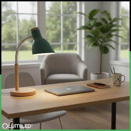 Schreibtischlampe Schule Zeichentisch Dekorativ E27 NIKO Grün Lumiled