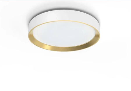 LED Plafond Deckenleuchte 24W 2800lm 4000K SceneSwitch Weiß|Gold Hanno Philips