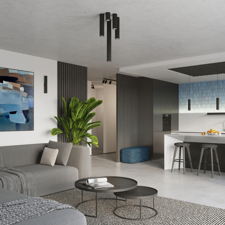 Decke Hängelampe Tuba Spot 2x GU10 Schwarz Carbon Deep Space SL.1574 Sollux