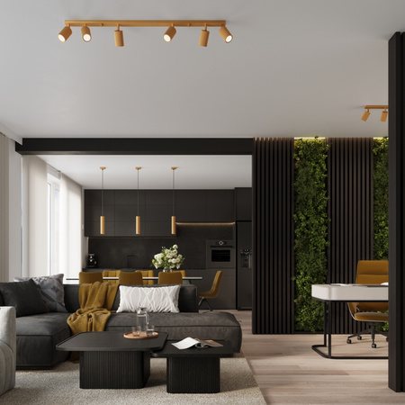 Tuba Spot Reflektor Deckenleuchte 6x GU10 Gold Carbon Deep Space SL.1566 Sollux